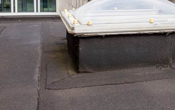 disadvantages of Newton Under Roseberry flat roofs