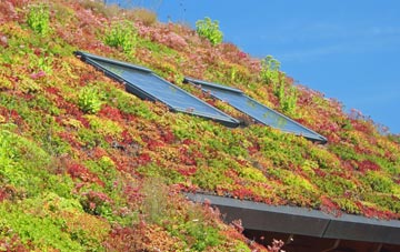 Newton Under Roseberry living roof systems