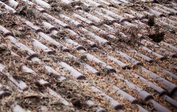 Newton Under Roseberry roof cleaning companies